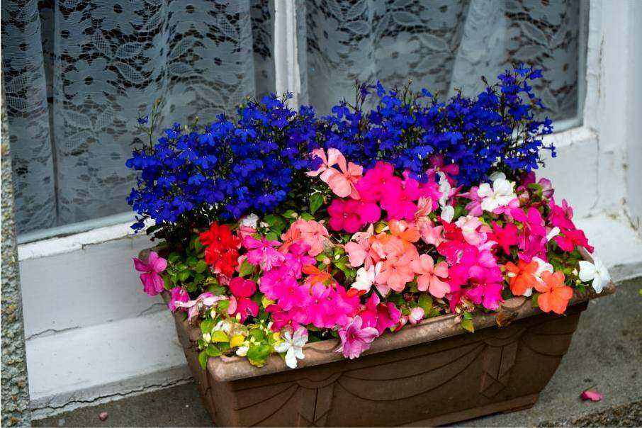 Blumenarrangement 1